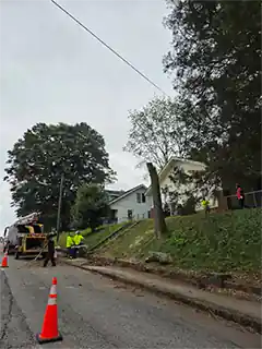 Tree Service Tree Cutting Chipping Removal Near Me